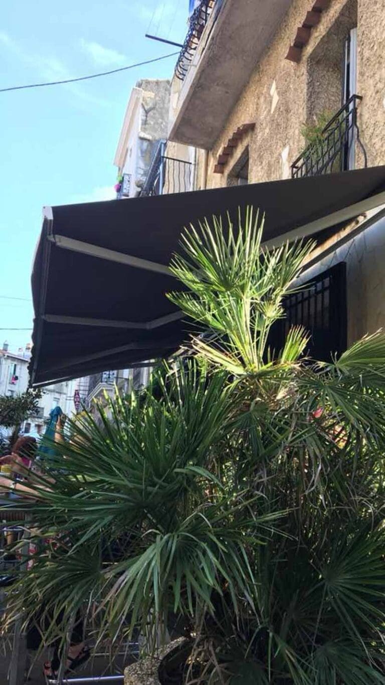 Bar du Plateau Sète