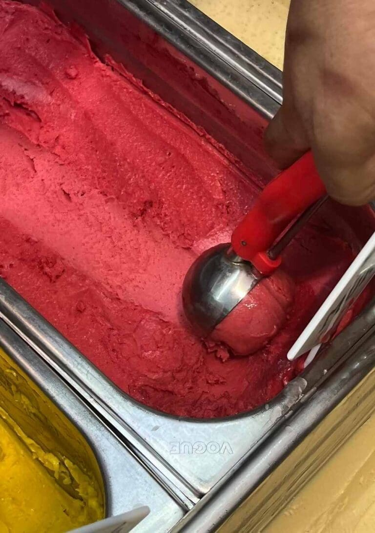 L'Atelier du Flamant Rose - Artisan glacier