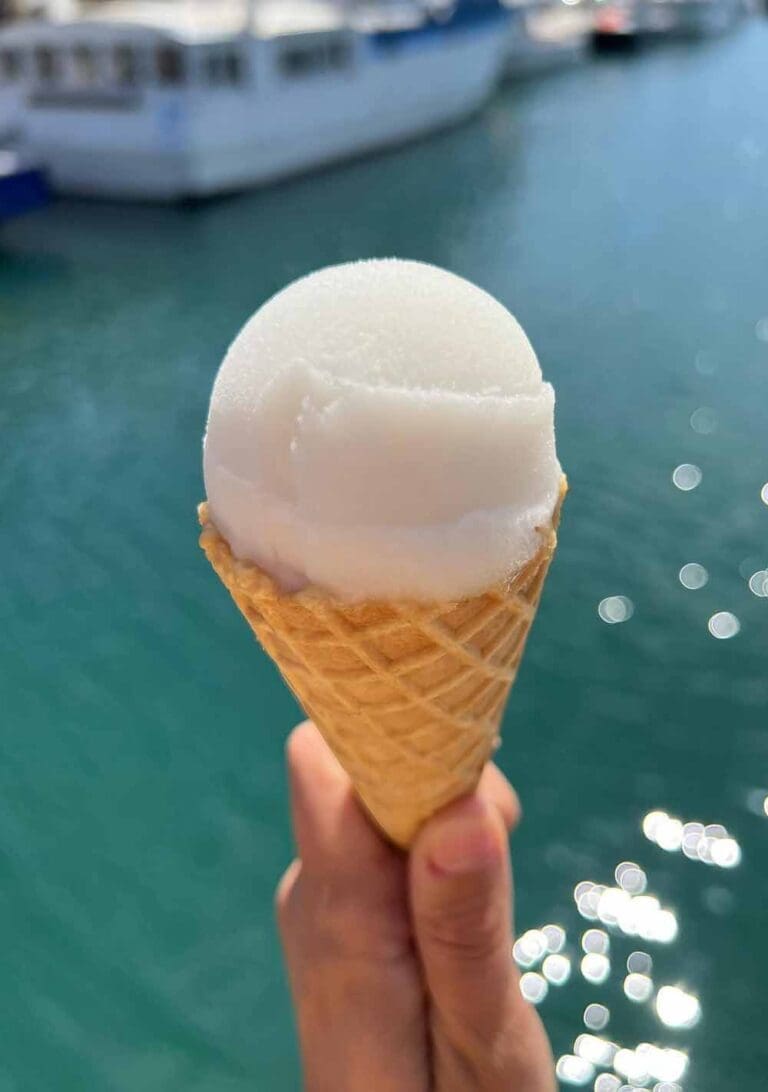 L'Atelier du Flamant Rose - Artisan glacier