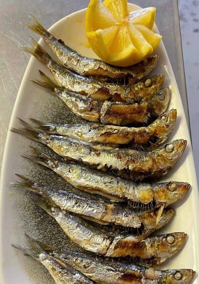 La Maison de la Méditerranée Sète - Restaurant