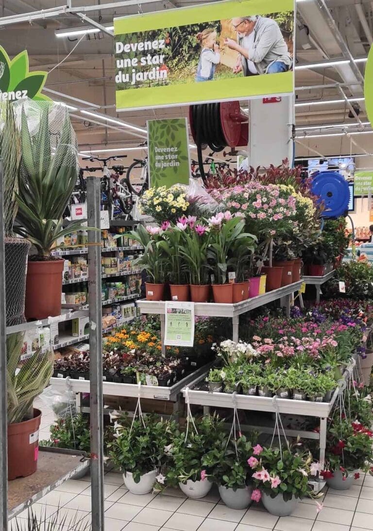 Auchan Sète - Hypermarché