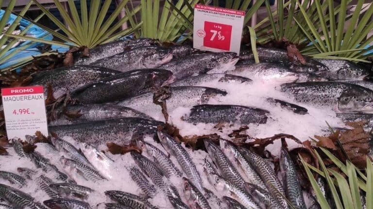 Auchan Sète - Hypermarché