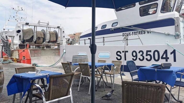La Méditerranéenne Sète - Restaurant fruits de mer