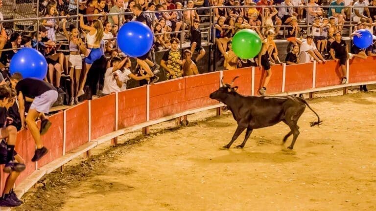 Arènes de Frontignan - Événements Spectacles