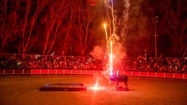 Arènes de Frontignan - Événements Spectacles