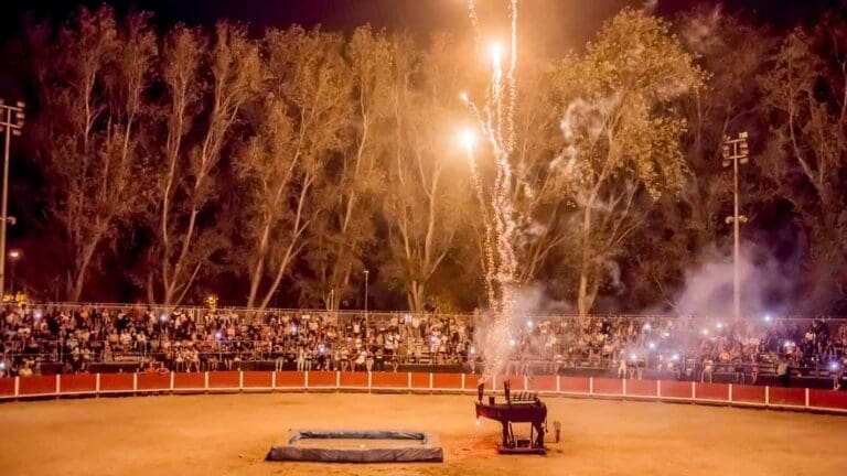 Arènes de Frontignan - Événements Spectacles