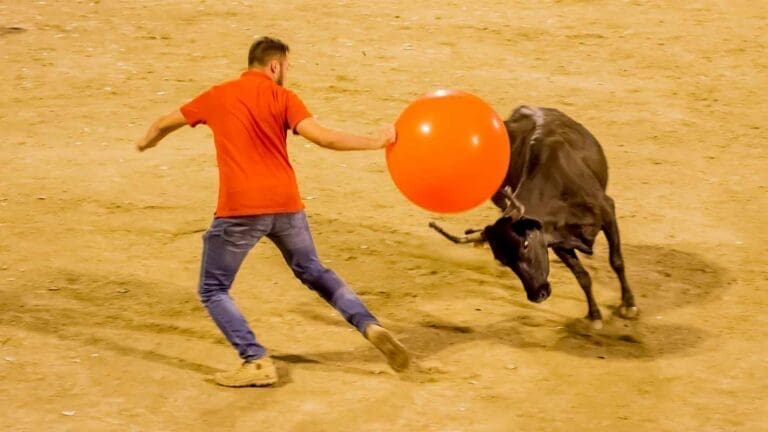 Arènes de Frontignan - Événements Spectacles