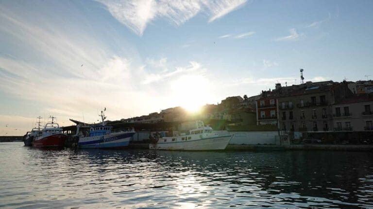 Criée aux poissons de Sète - Port de Sète