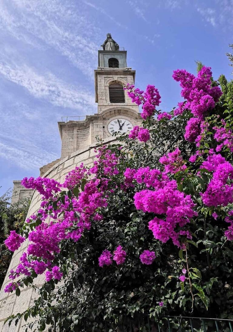 Église décanale Saint-Louis de Sète