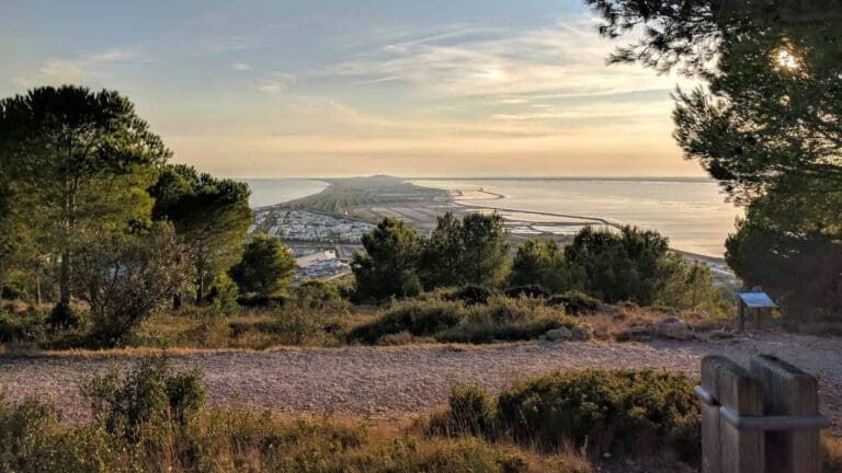 Forêt des Pierres Blanches - Forêt domaniale à Sète