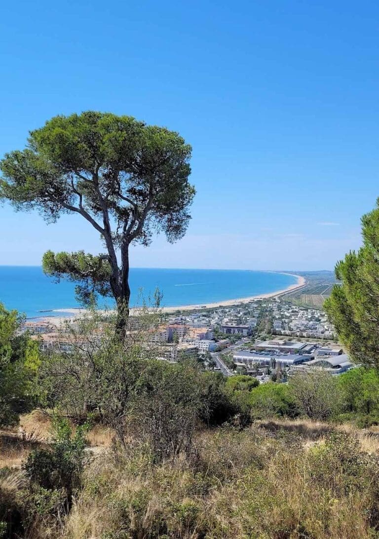 Forêt des Pierres Blanches - Forêt domaniale à Sète