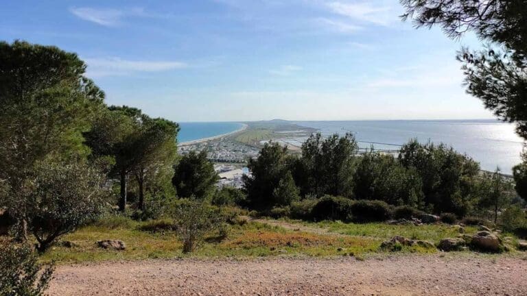 Forêt des Pierres Blanches - Forêt domaniale à Sète
