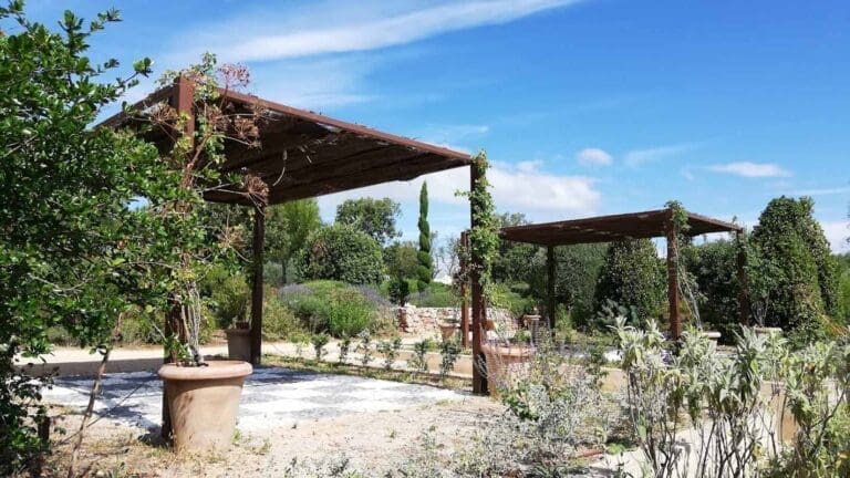 Jardin Antique Méditerranéen - JAM Balaruc les Bains