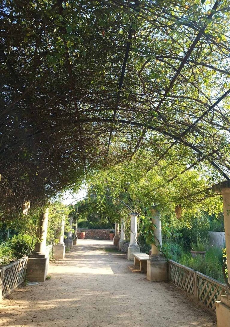Jardin Antique Méditerranéen - JAM Balaruc les Bains