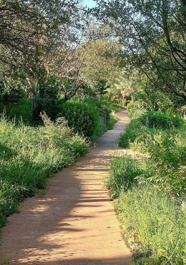 Jardin Antique Méditerranéen - JAM Balaruc les Bains