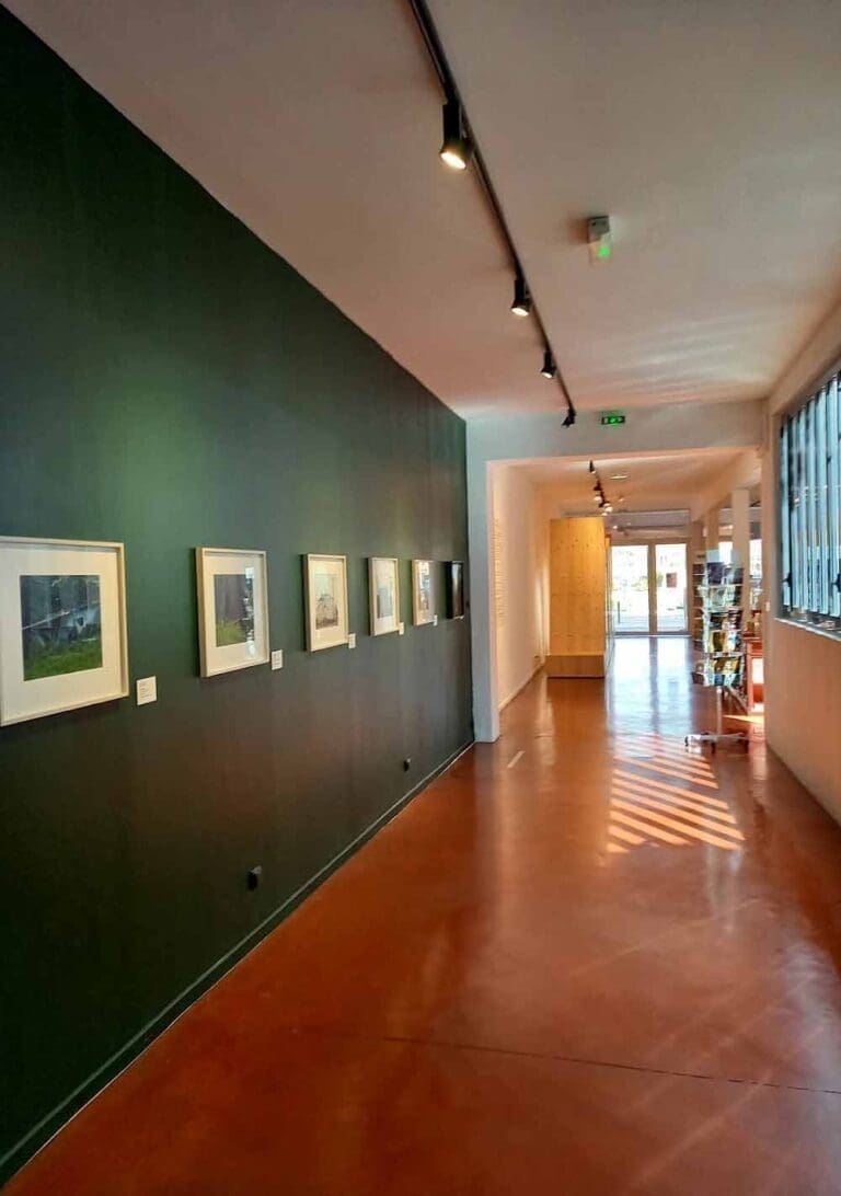 MIAM Sète - Musée International des Arts Modestes