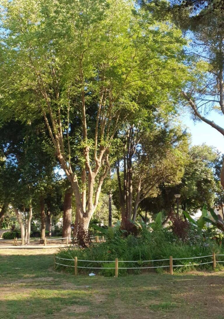 Parc Sévigné à Balaruc-les-Bains