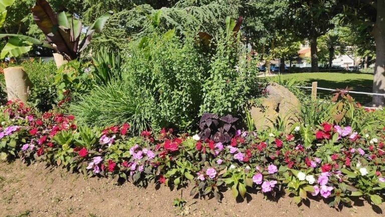 Parc Sévigné à Balaruc-les-Bains