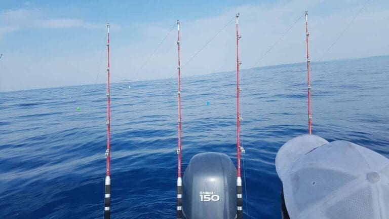 SeteFishing 34 - Pêche en mer ou étang de Thau