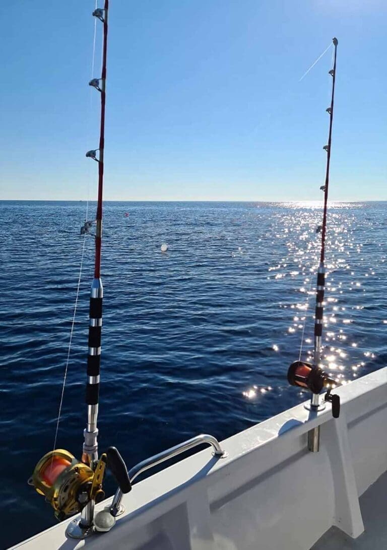 SeteFishing 34 - Pêche en mer ou étang de Thau