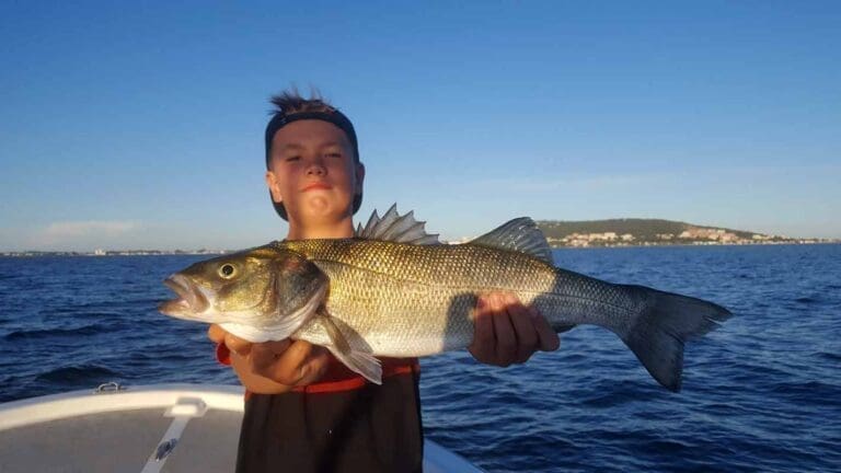 SeteFishing 34 - Pêche en mer ou étang de Thau