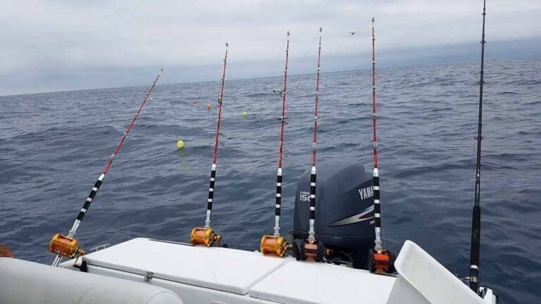 SeteFishing 34 - Pêche en mer ou étang de Thau