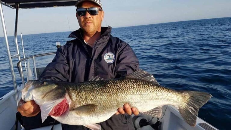 SeteFishing 34 - Pêche en mer ou étang de Thau