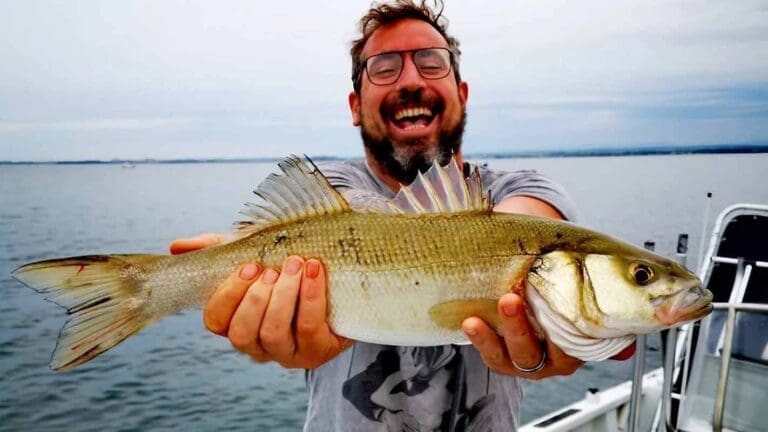 SeteFishing 34 - Pêche en mer ou étang de Thau