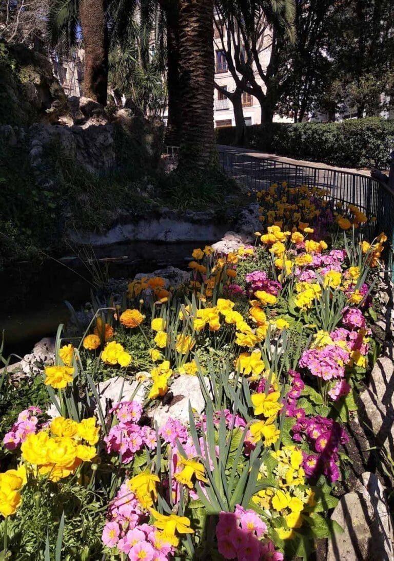 Parc Simone Veil à Sète - Jardin du Château d'eau