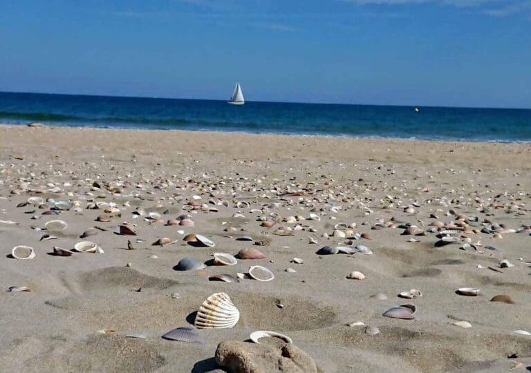 Plage Jalabert Sète