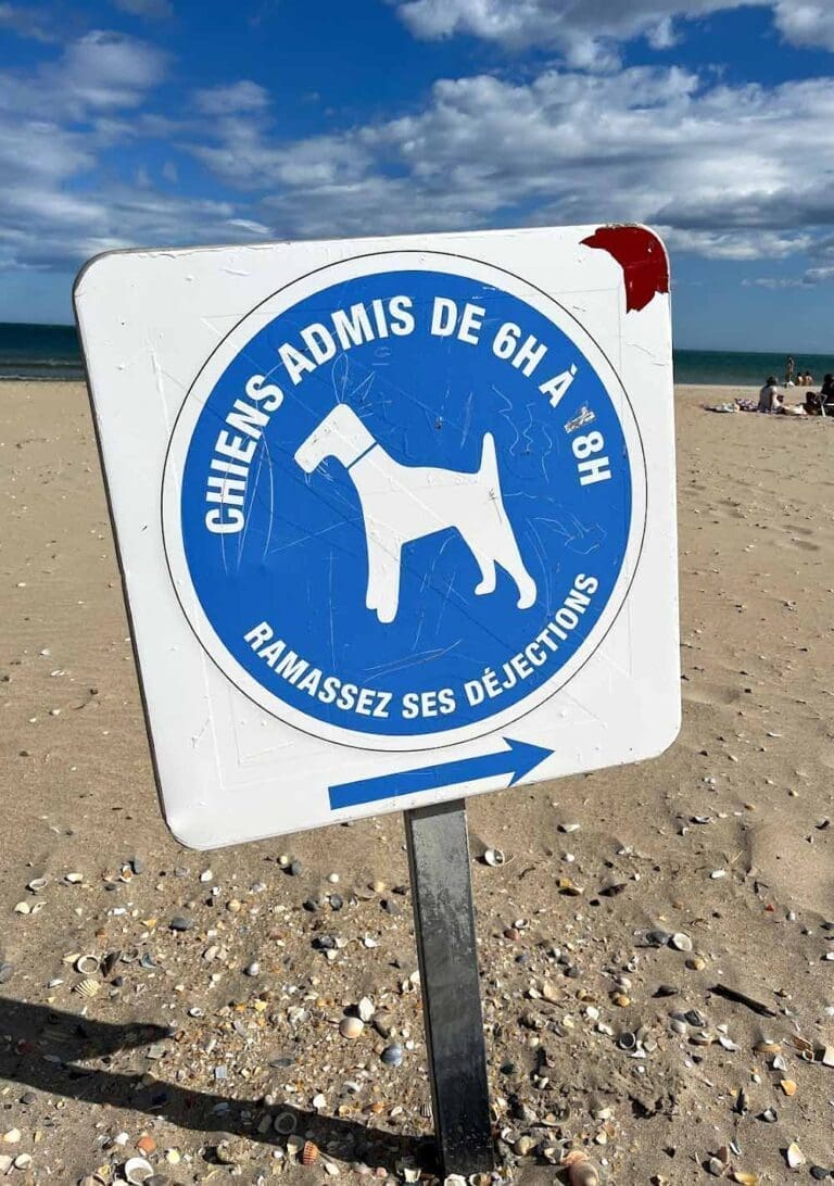Plage Vassal autorisée aux chiens Sète
