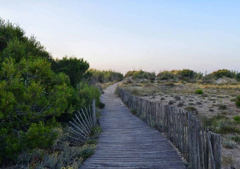 Plage du Castellas à Sète