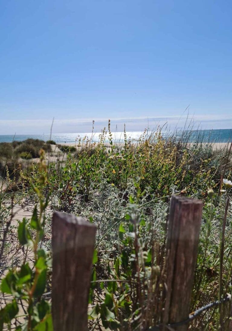 Plage du Castellas à Sète