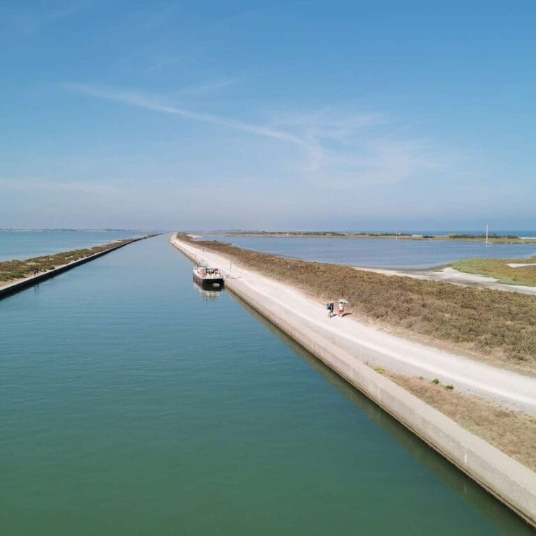 Frontignan Ville de Frontignan 4