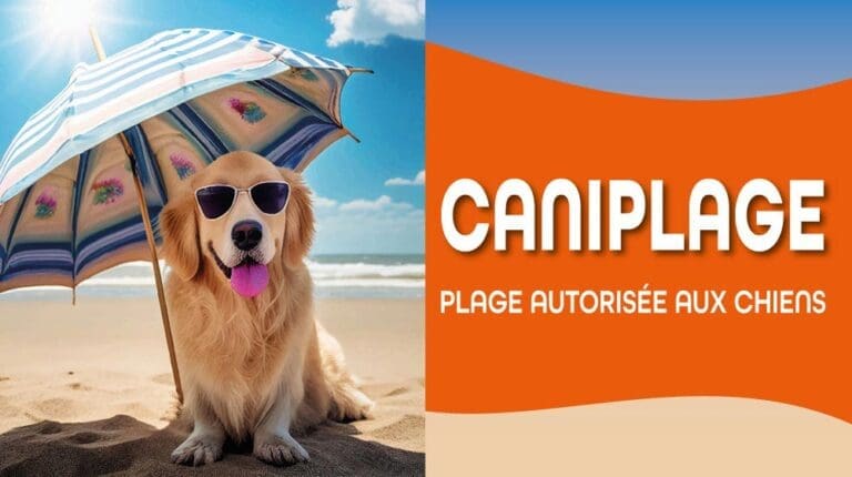Plages autorisées aux chiens à Mèze