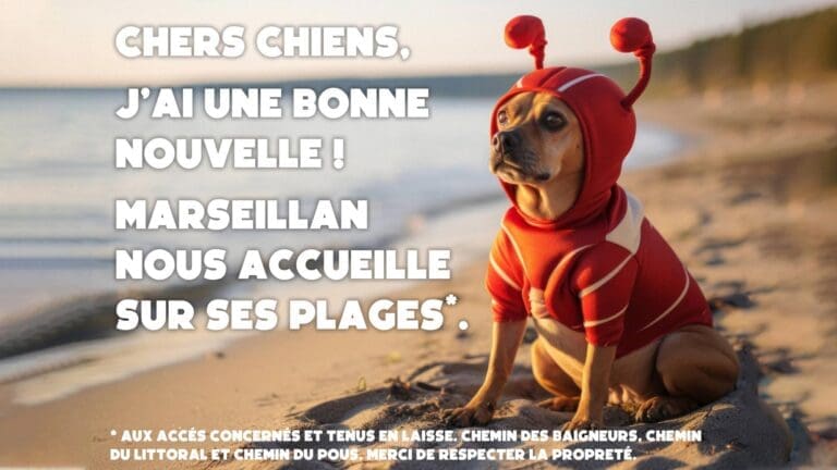 Plages autorisées aux chiens à Marseillan