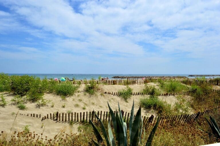 Les plages du Lido à Sète : un paradis de propreté