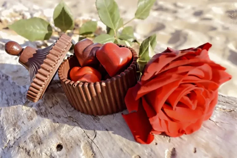 Chocolaterie Severac