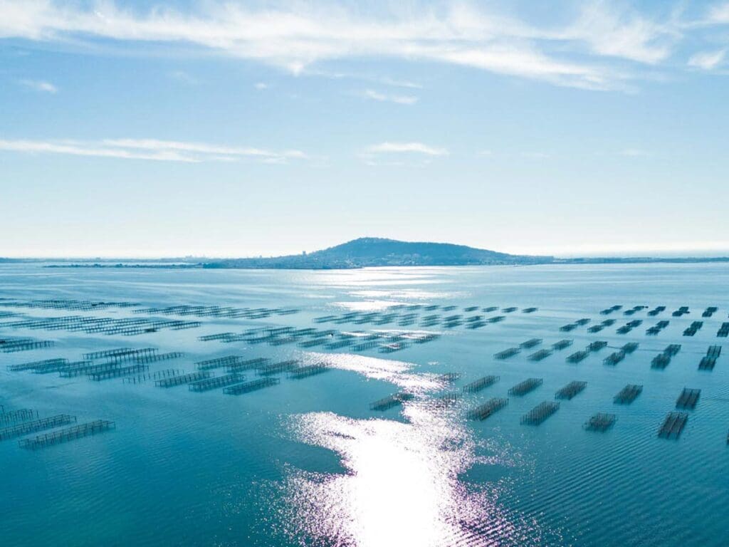 L’Archipel de Thau labellisé Green Destinations