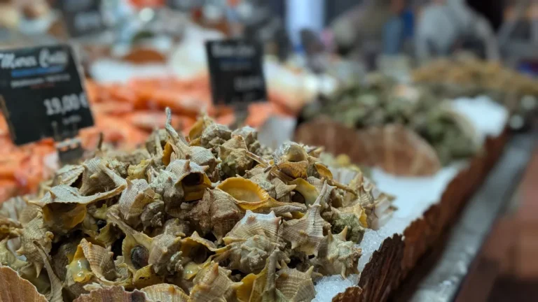 La Marseillaise Coquillages