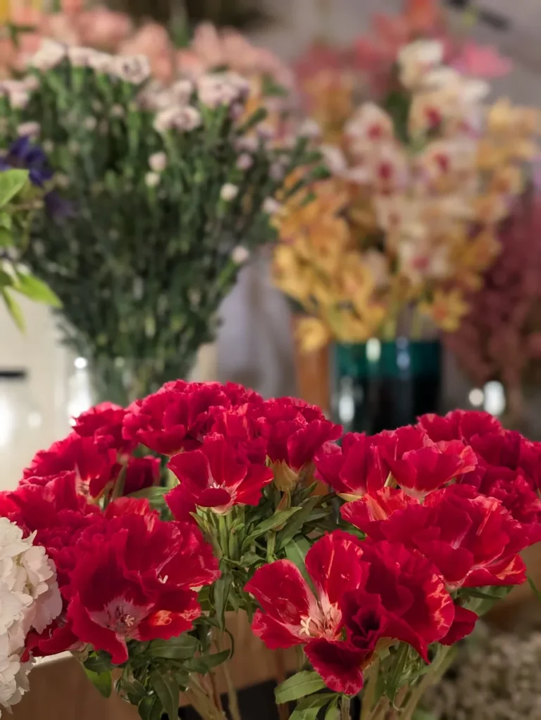 Mon Rêve Fleuri