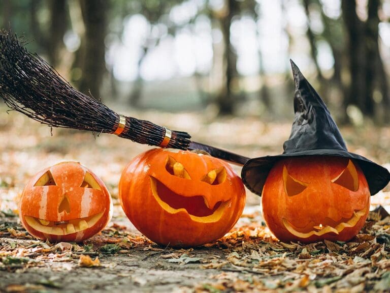 Fêter Halloween à Villeveyrac
