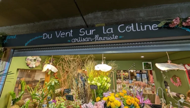 Du Vent sur la colline