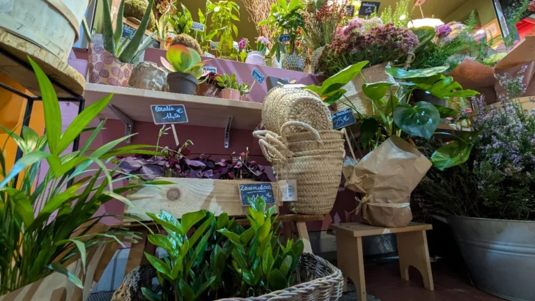 Du Vent sur la colline