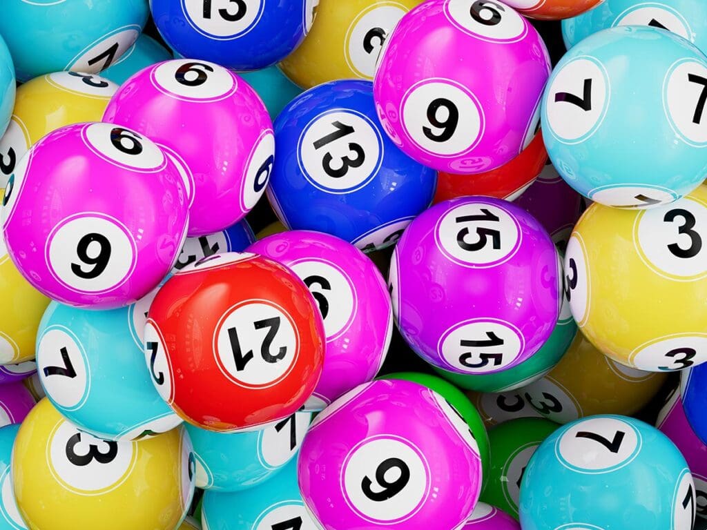 Les Lotos à Mireval