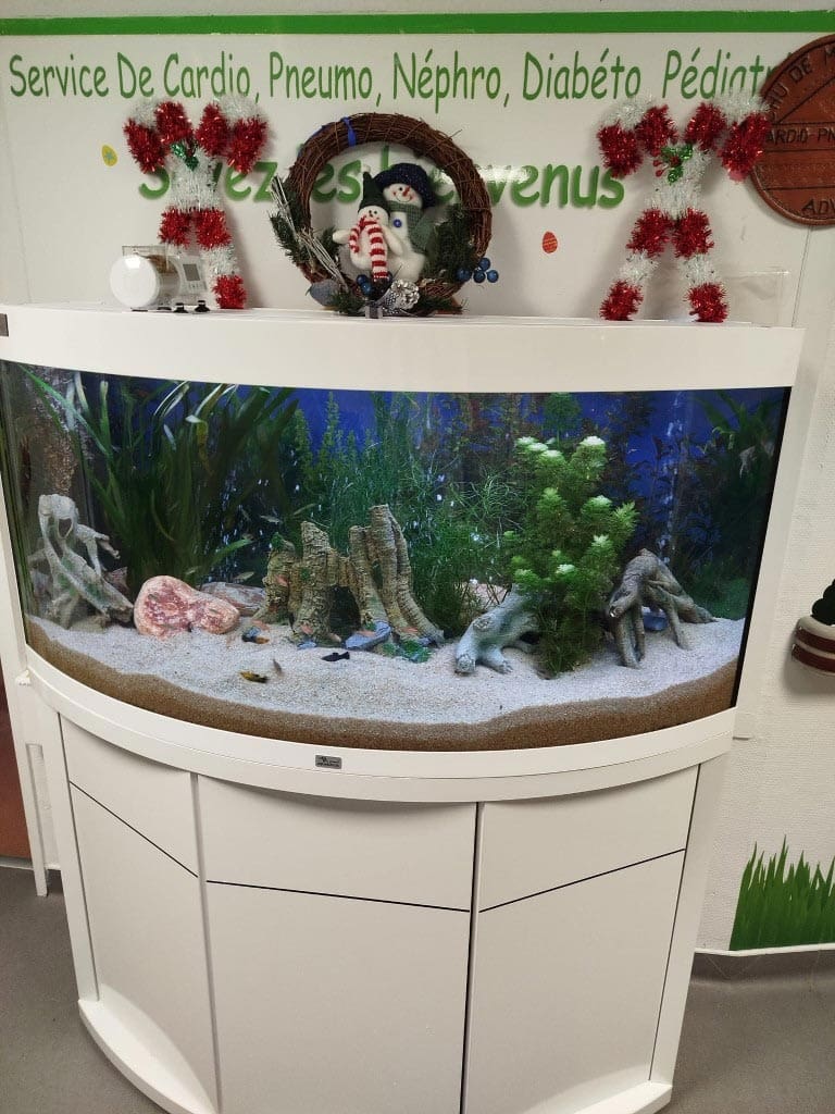 Décembre solidaire avec l'association Astrid