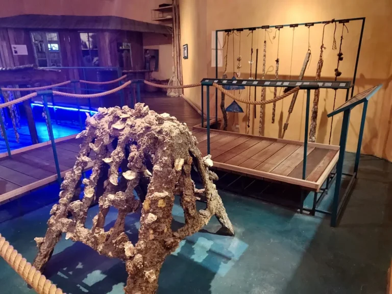 Musée de l'Étang de Thau