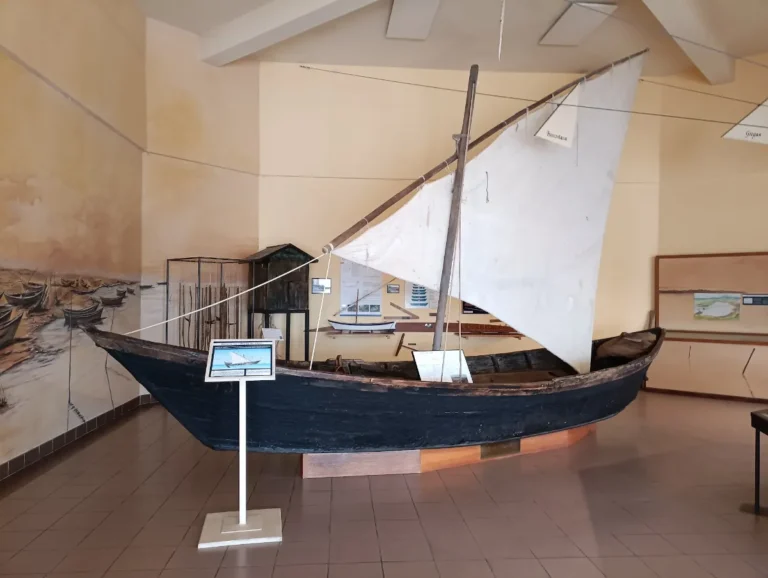 Musée de l'Étang de Thau