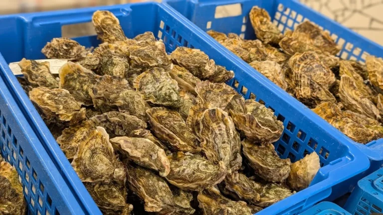 L'Épicerie Marine