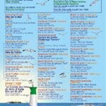 Animations Ete 2026 au Grau dAgde Programme des Festivites Estivales
